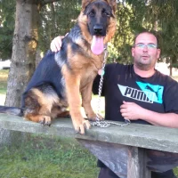 Sándor