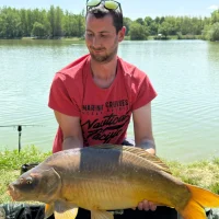 Dávid, 33 éves férfi társkereső, Vas