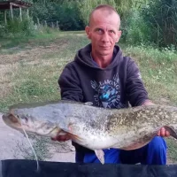 Zoltán