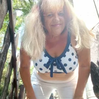 Galéria kép