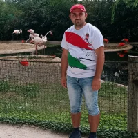 Norbi