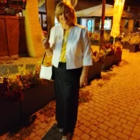Galéria kép