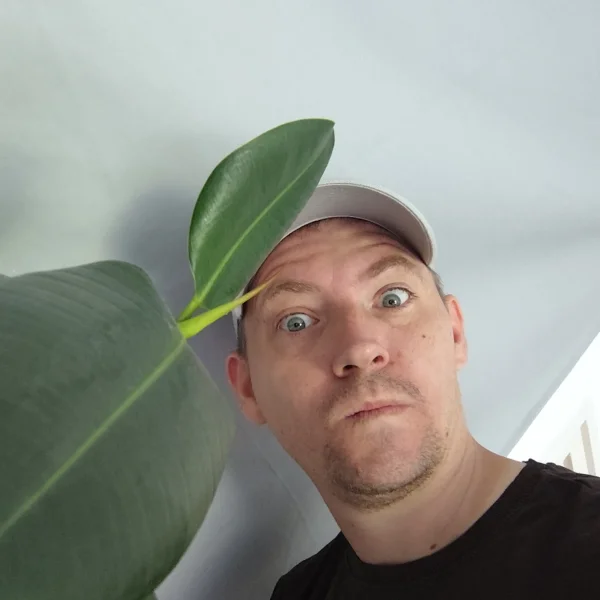 Matyi