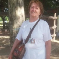 Galéria kép