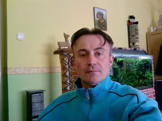Tibi