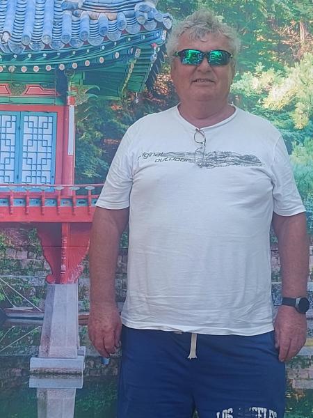 Vili