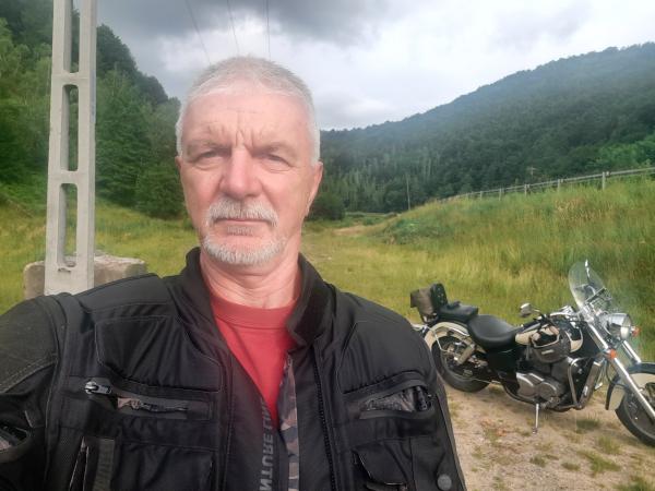 Gyula