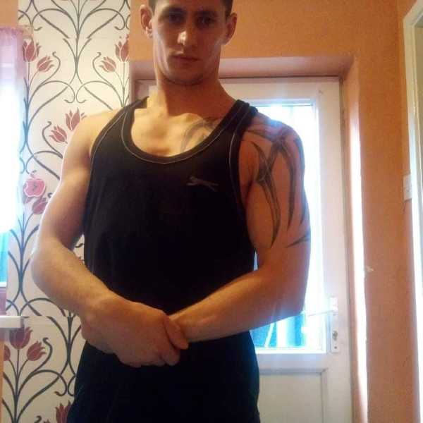 Dávid