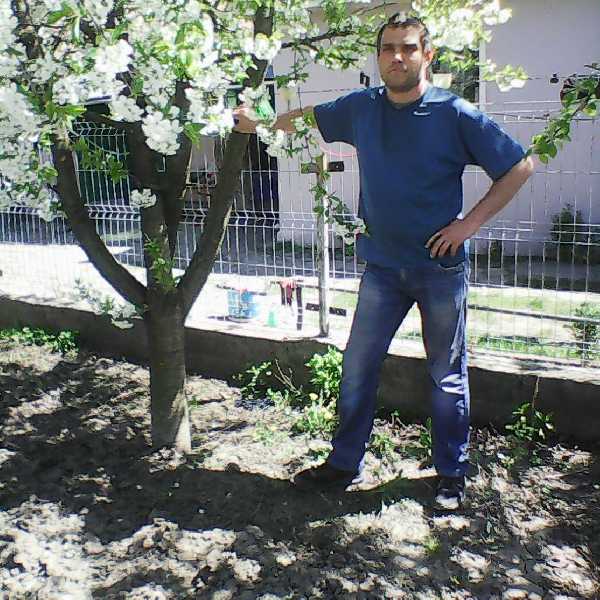 zsolt