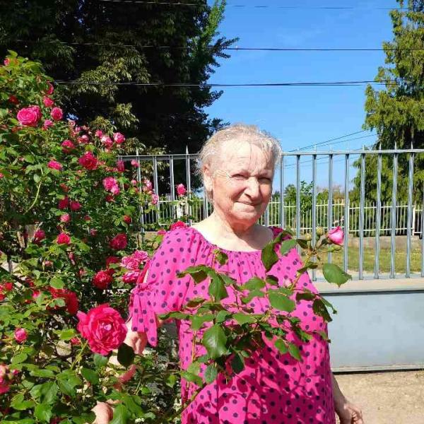 Szirony Ilona