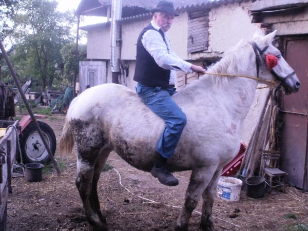 János55